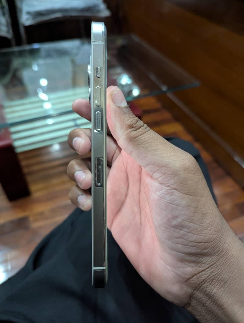 Apple iPhone 12 Pro Max 1