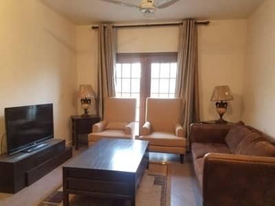Diplomatic Enclave 2 Bed Rooms Brand New Elegant Furnished Apartment