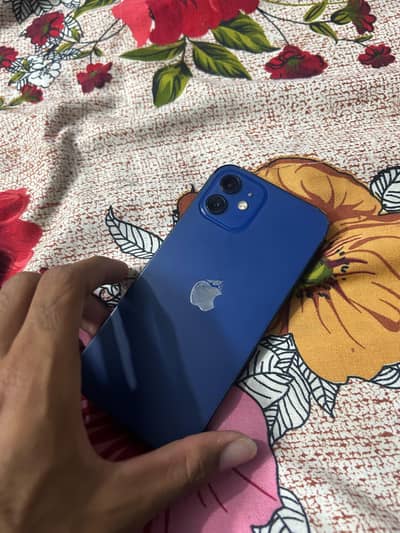 Apple iPhone 12