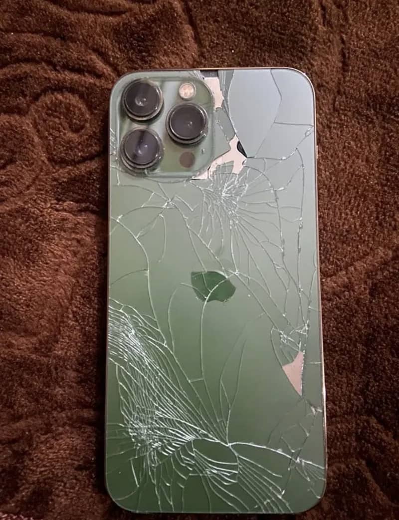 Apple iPhone 13 Pro Max 0