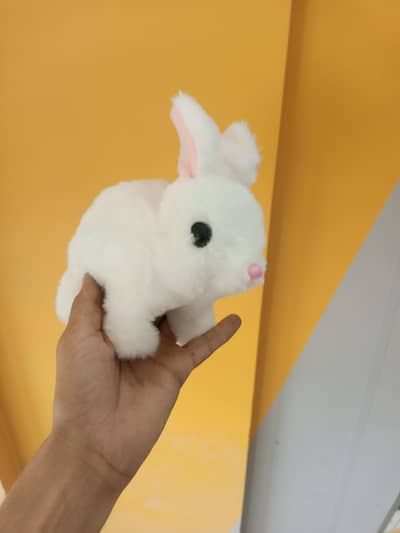 Rebbit Toy's