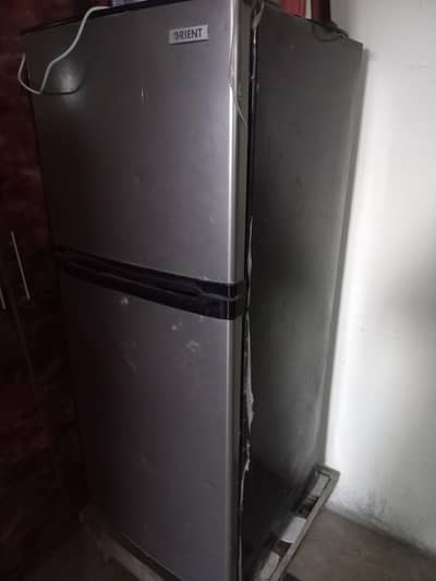orient fridge