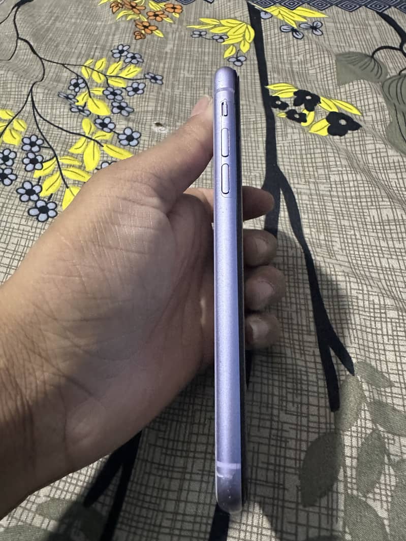 Apple iPhone 11 2