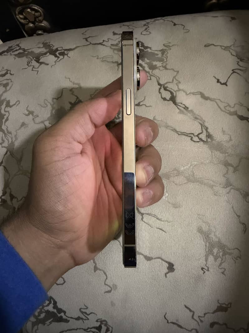 Apple iPhone 14 Pro Max 1