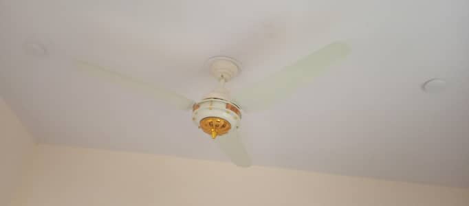 urgent for sale (2) pec ha