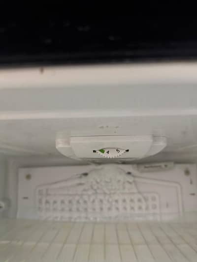 PEL Glass door fridge