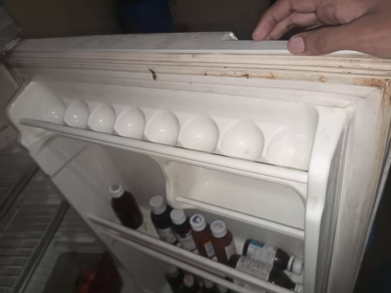 Refrigerator 3