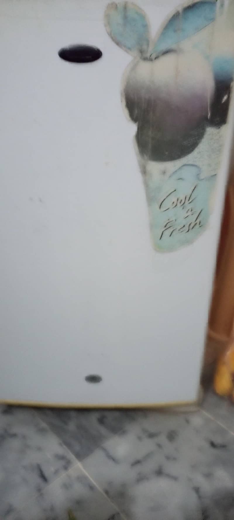 Mini fridge 4