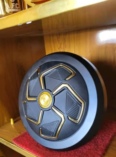 30W AC DC Remote fan