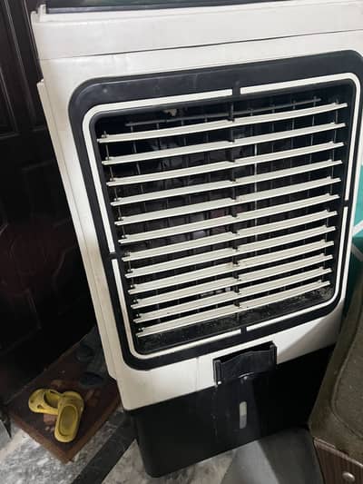 air cooler 12 world