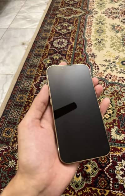 Apple iPhone 13 Pro