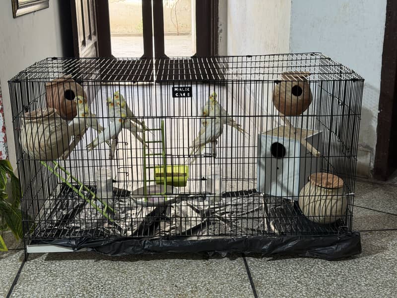 Ready for breeding 10