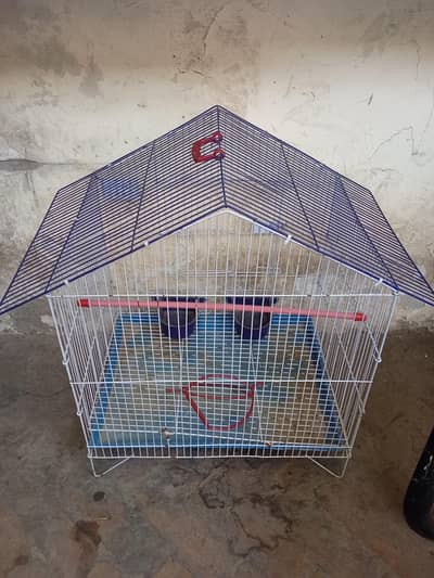 Birds Cage