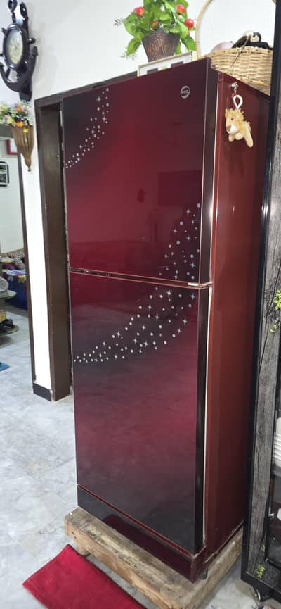 PEL Glass Door Refrigerator