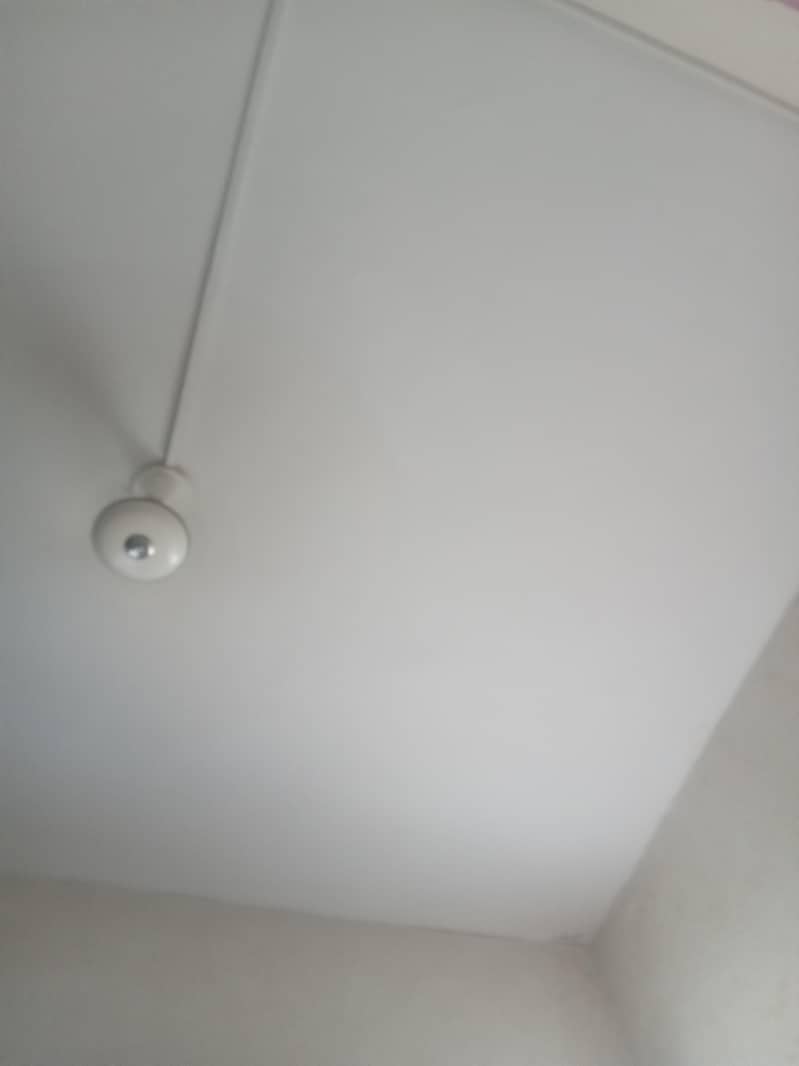 painter 0