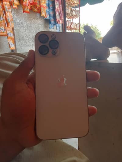 Apple iPhone 12 Pro Max