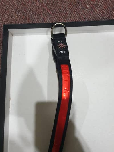 dog  pet belt light