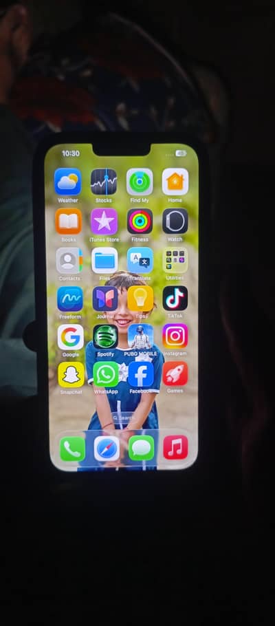 Apple iPhone 13 Pro Max
