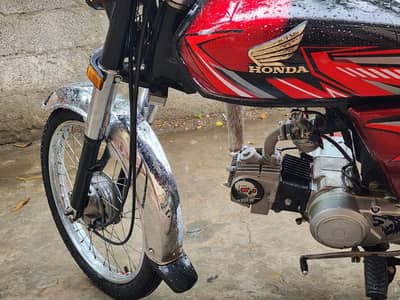 Safari bike 2024