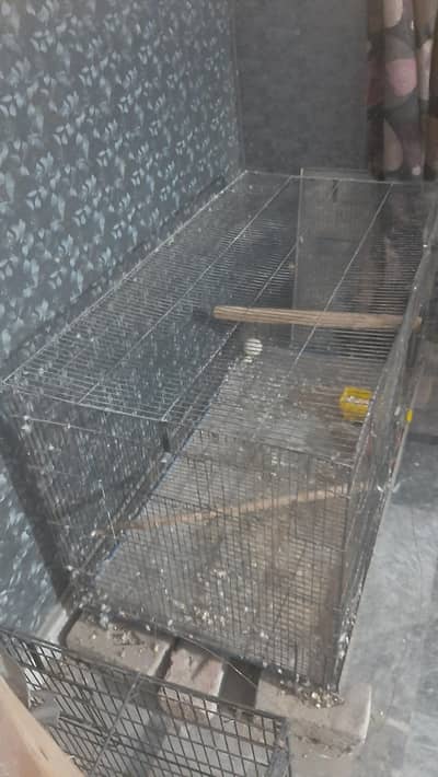 folding cage