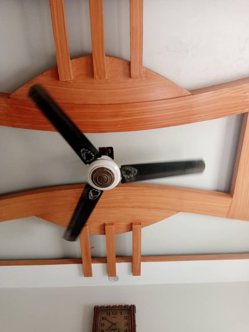 ceiling fan 1