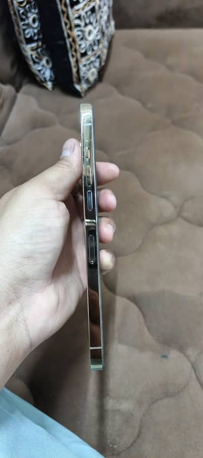 Apple iPhone 12 Pro Max