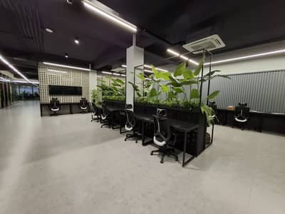 Coworking Office Space Available For Rent