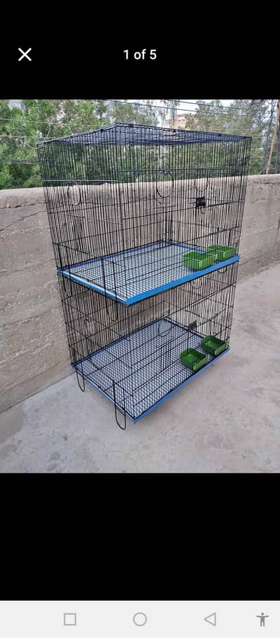 Cages  + Hand Tamed cocktails available