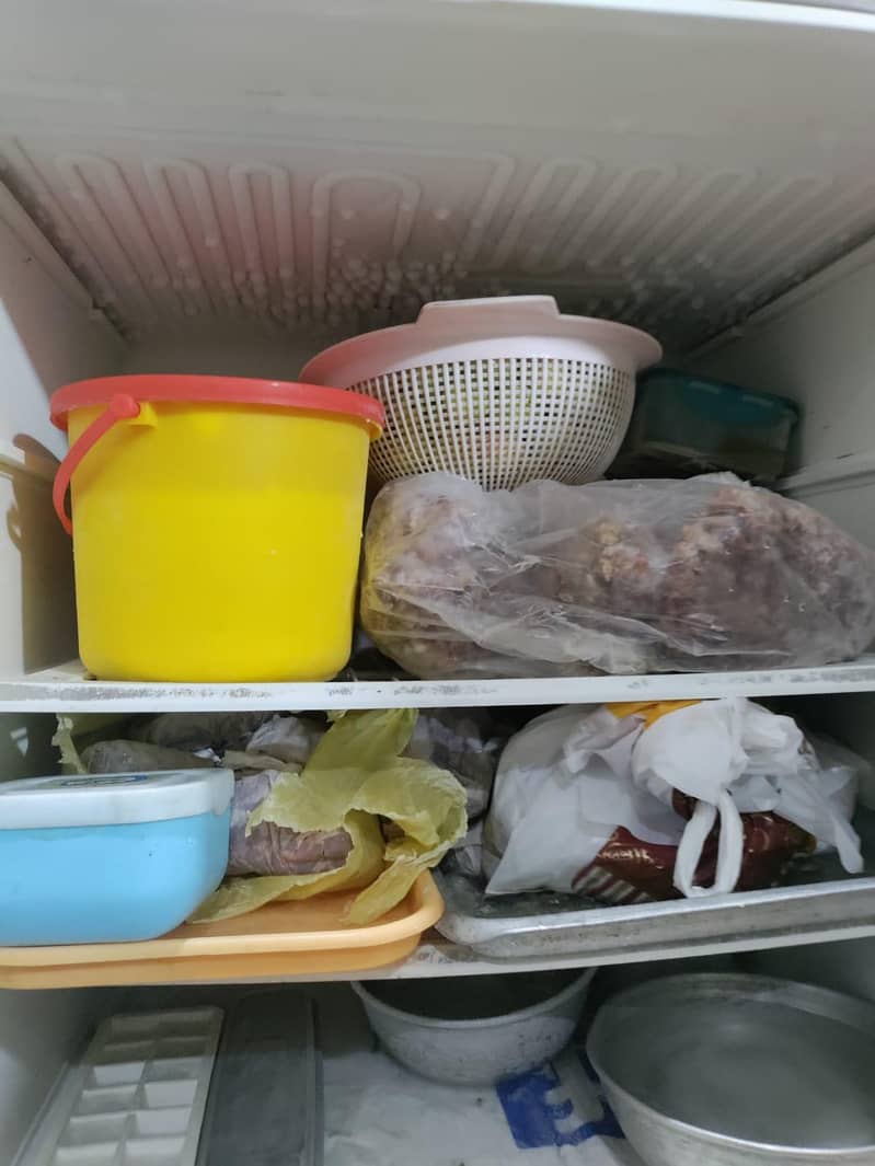 Pell refrigerator 1