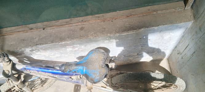 cycle for sel 22" Tyr