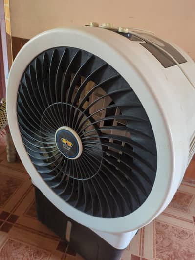 urgent sale