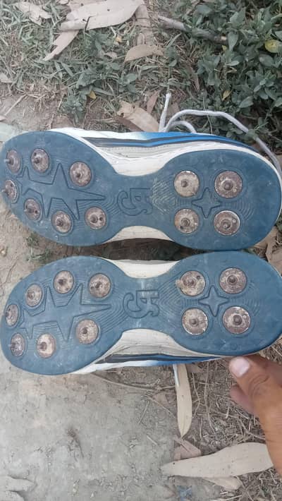 CA SPIKES