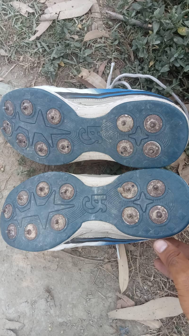 CA SPIKES 0