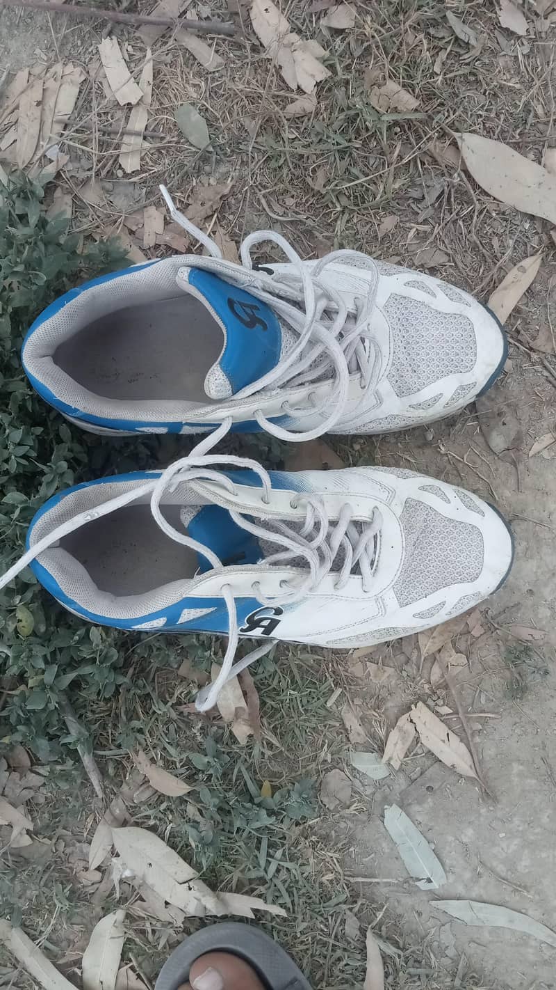 CA SPIKES 1