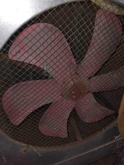 Asia cooler All ok