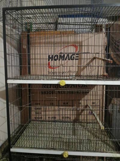 4 portion fixed angeld cage 1.5 by 2.5 front box option