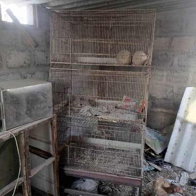hens cage