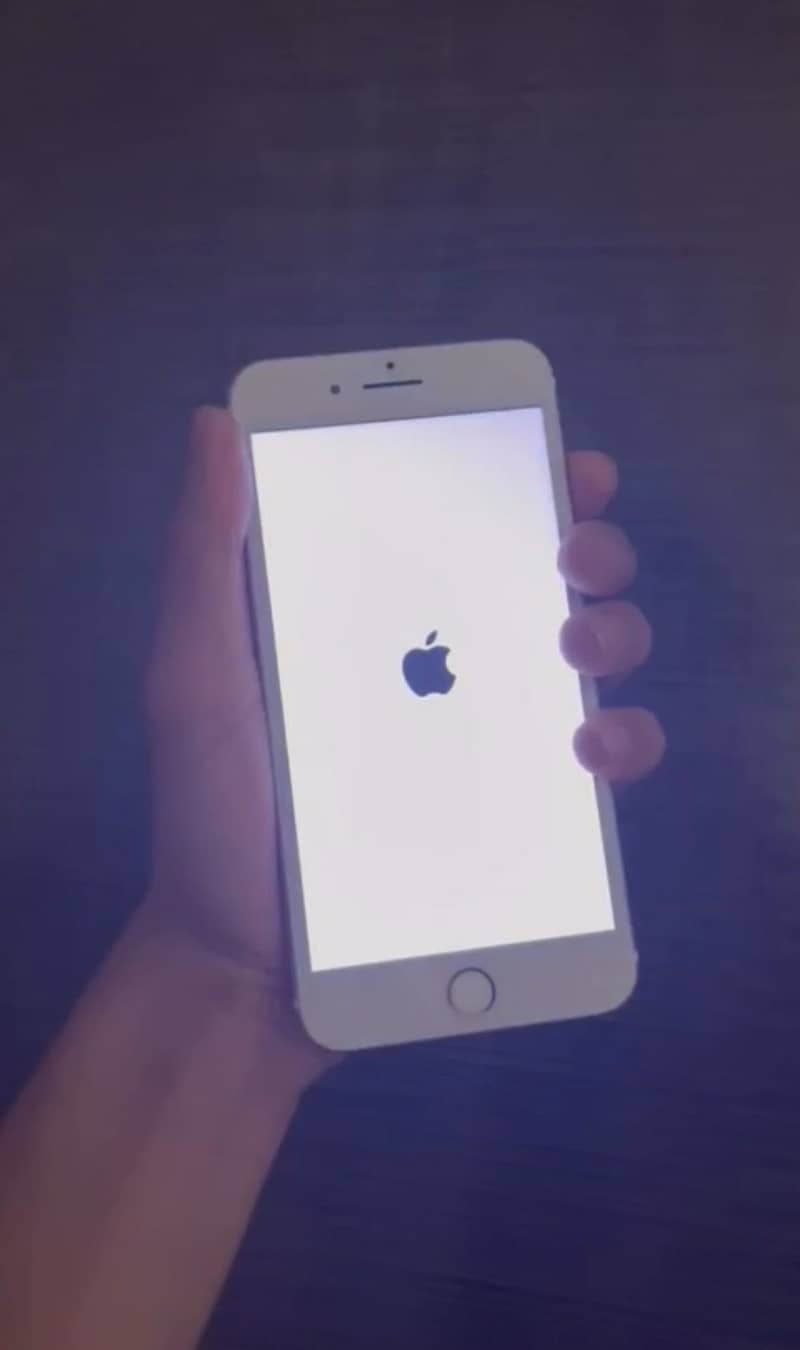 Apple iPhone 7 Plus 1