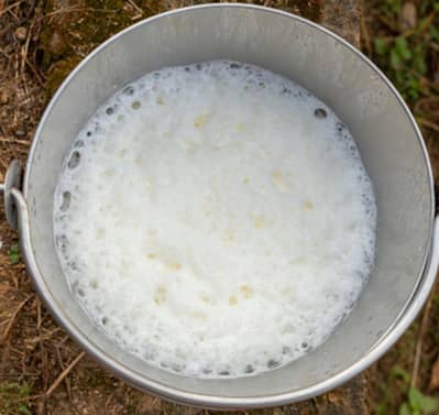 Fresh Creamy Milk Suppliers