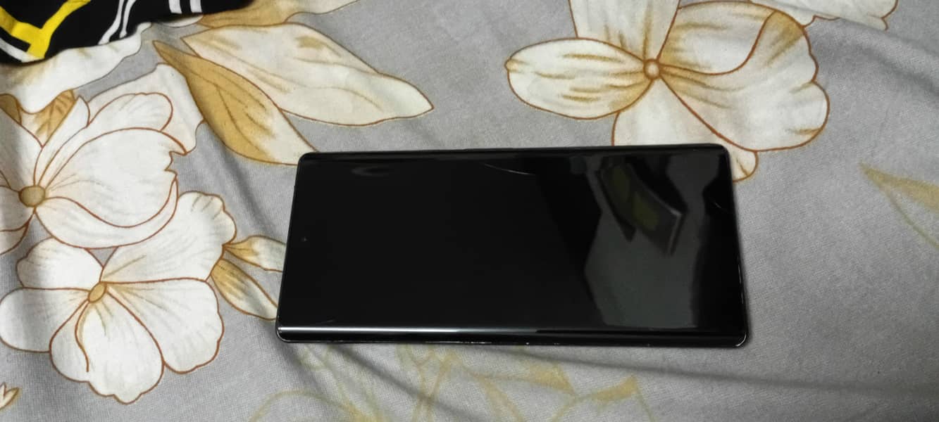 Google Pixel 6 Pro 1
