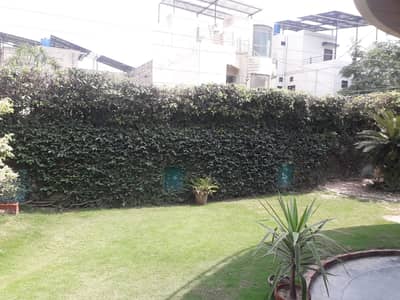 32 Marla Plot Available For Sale