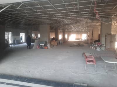 Fully Designed Office Space