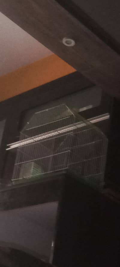 birds ka pinjra