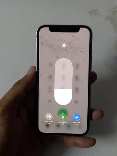 Apple iPhone 12 mini