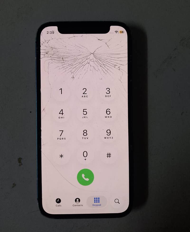 Apple iPhone 12 mini 1