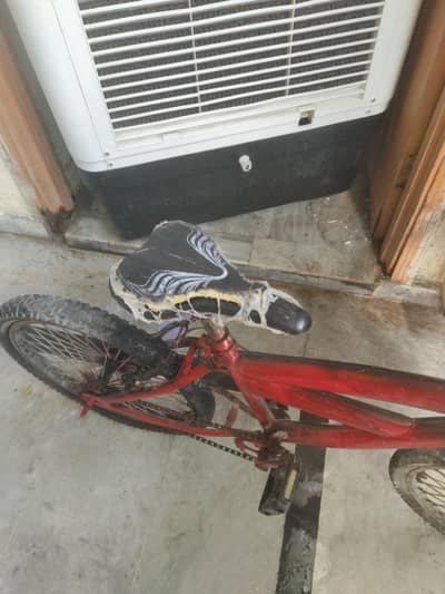 cycle 10 year old tak ha argent sell