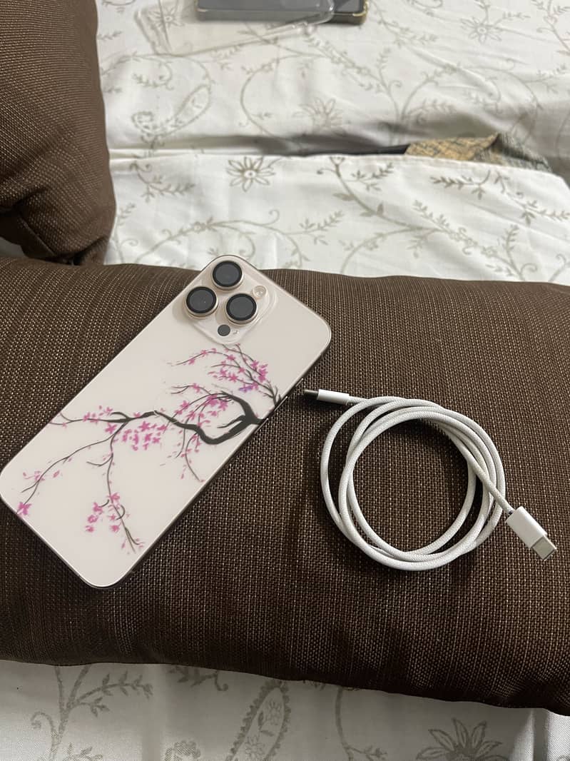 Apple iPhone 16 Pro Max 2