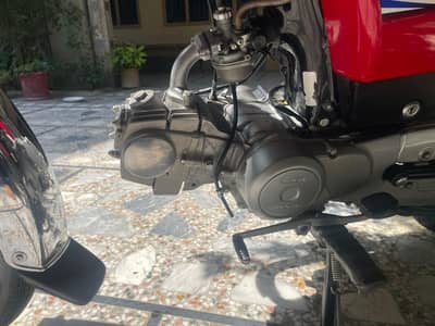 CD 70 bike 2024/26 model