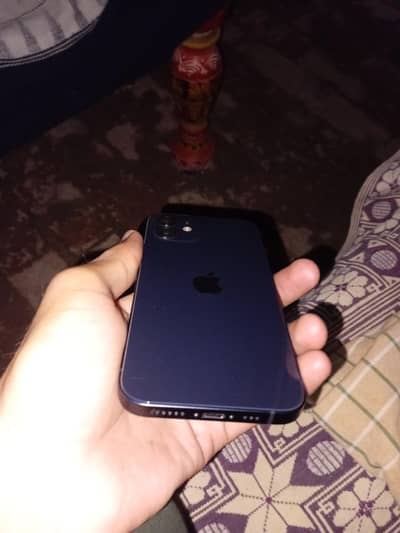 Apple iPhone 12