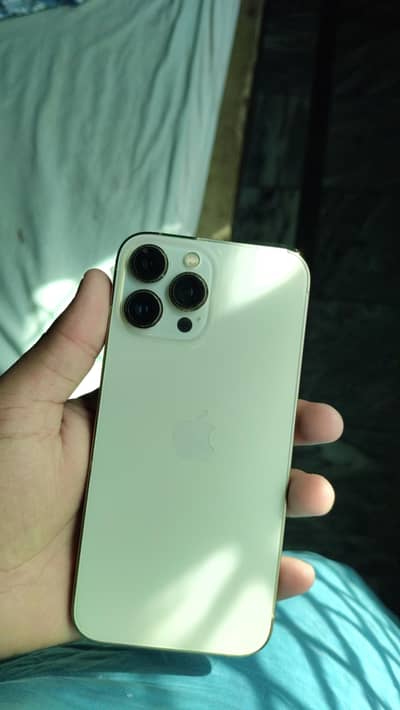 Apple iPhone 13 Pro Max
